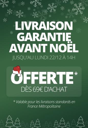 LIVRAISON GARANTIE AVANT NOEL