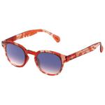 
Izipizi Lunettes de soleil Sun #C Wild Hooves Purple Shading Polarized  Présentation