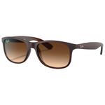 
Ray Ban Lunettes de soleil RB4202 Andy Mat Brown Gradien Brown 