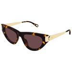 
Chloé Lunettes de soleil CH0350S Holly 003 Havana  Présentation