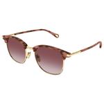 
Chloé Lunettes de soleil CH0384S 004 Gold Tortoise  Présentation