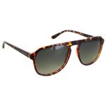 
Moken Vision Lunettes de soleil Big Dude Tortoise Green Cat.3 Gradient Polarized  Présentation