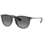 
Ray Ban Lunettes de soleil RB4171 Erika Classic Matte Rubber Black Grey Polar 