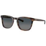 
Costa Del Mar Lunettes de soleil Sullivan Salt March Gray Gradient Polarized  Présentation