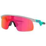 
Oakley Lunettes de soleil Resistor Matte Fog Prizm Field  Présentation
