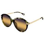 
Chloé Lunettes de soleil CH0358SK Asian Fit 003 Havana Tortoise  Présentation