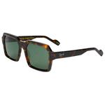 
Binocle Eyewear Lunettes de soleil Tyler Shiny Tortoise G15 Polarized  Présentation