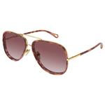 
Chloé Lunettes de soleil CH0382S 004 Gold Tortoise  Présentation