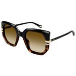 
Chloé Lunettes de soleil CH0240S West 003 Havana  Présentation