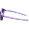 
Julbo Lunettes de soleil Walker Mat Violé Foncé Violet Spectron 3  Présentation