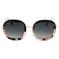 
Binocle Eyewear Lunettes de soleil Selena Shiny Pink Gold Black Pink Tortoise Gradient Grey Polarized  Présentation
